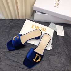 Christian Dior Slippers